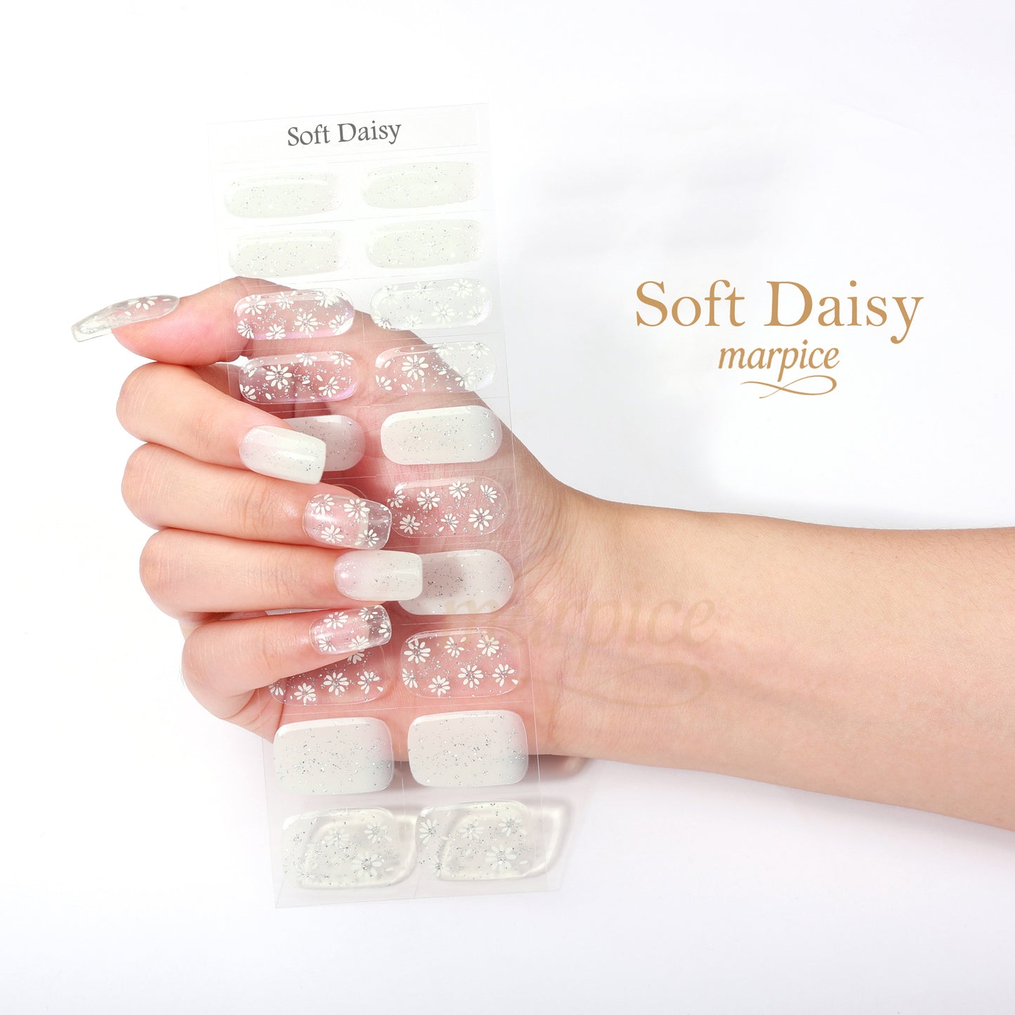 Soft Daisy